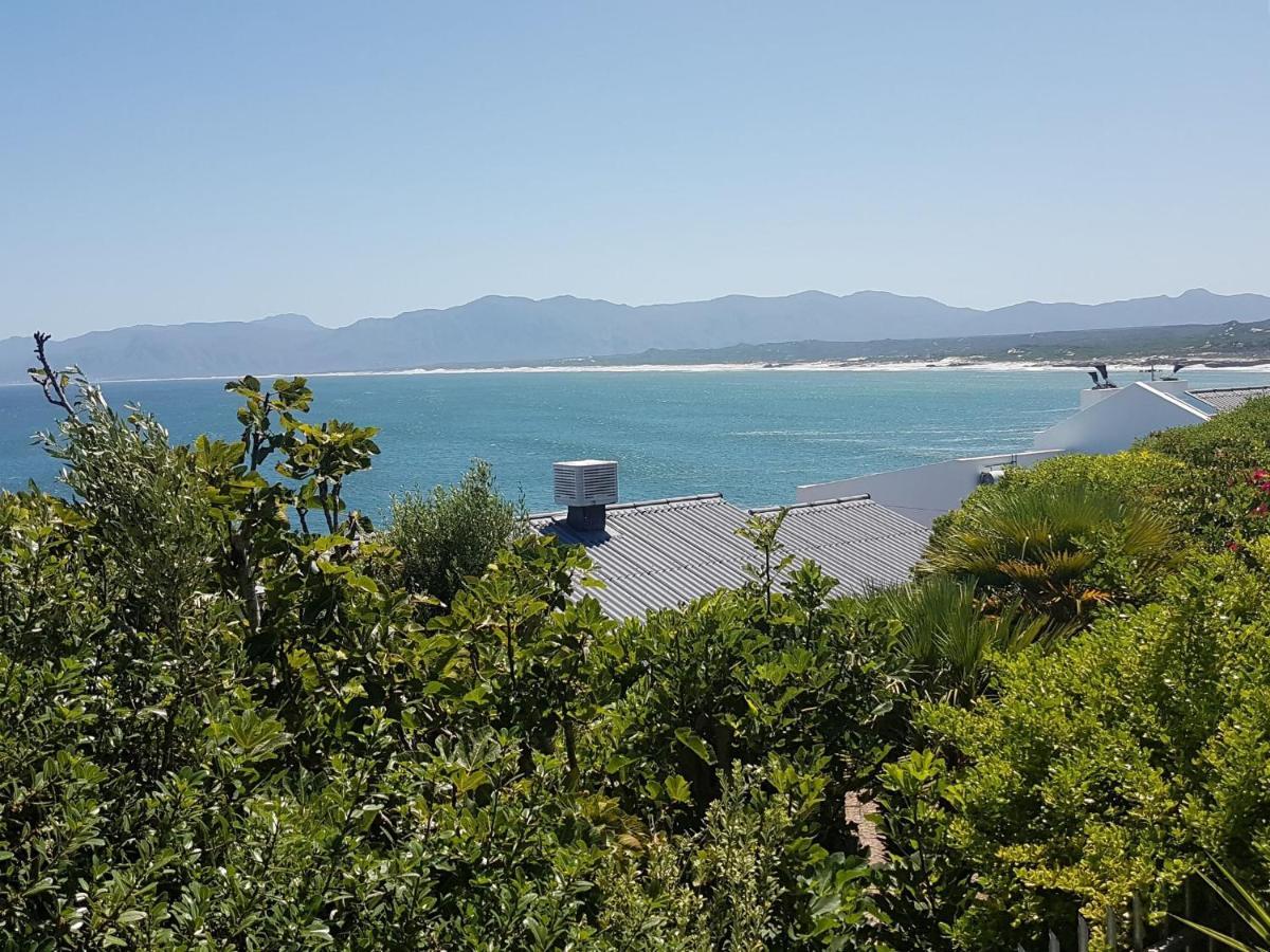 Amazing Grace B&B Gansbaai Kültér fotó